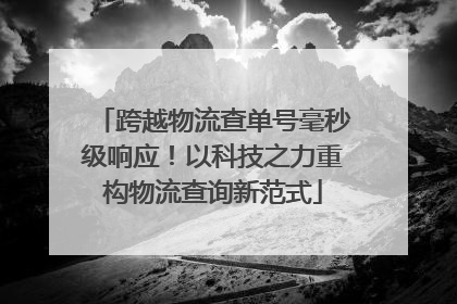 跨越物流查单号毫秒级响应！以科技之力重构物流查询新范式
