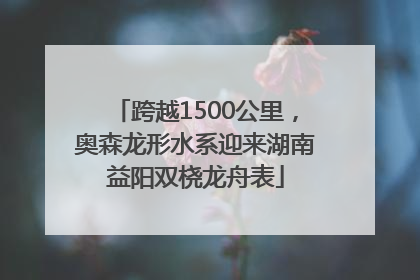 跨越1500公里，奥森龙形水系迎来湖南益阳双桡龙舟表