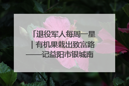退役军人每周一星｜有机果栽出致富路——记益阳市银城南湖蔬果农民专业合作社总经理晏桂明