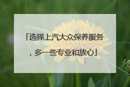 选择上汽大众保养服务，多一些专业和放心