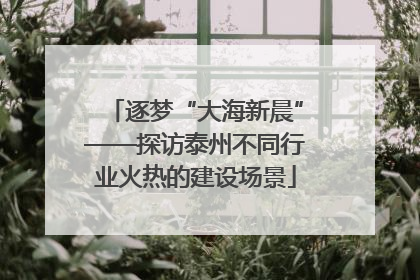 逐梦“大海新晨”——探访泰州不同行业火热的建设场景