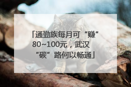 通勤族每月可“赚”80~100元，武汉“碳”路何以畅通