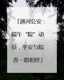 通河公安：端午“粽”动员，平安与粽香一路相伴