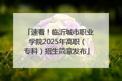 速看！临沂城市职业学院2025年高职（专科）招生简章发布