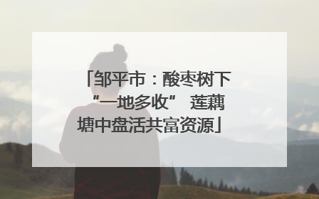邹平市：酸枣树下“一地多收” 莲藕塘中盘活共富资源
