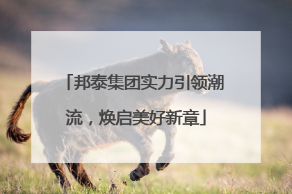 邦泰集团实力引领潮流，焕启美好新章