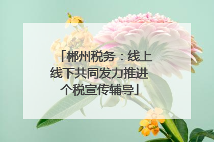 郴州税务：线上线下共同发力推进个税宣传辅导