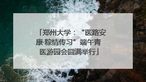 郑州大学：“医路安康·粽情传习”端午青医游园会圆满举行