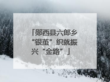 郧西县六郎乡“银茧”织就振兴“金路”