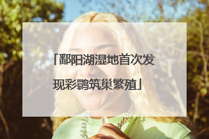 鄱阳湖湿地首次发现彩鹮筑巢繁殖
