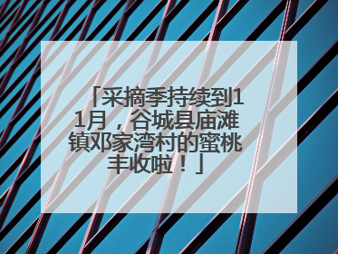 采摘季持续到11月，谷城县庙滩镇邓家湾村的蜜桃丰收啦！