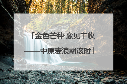 金色芒种·豫见丰收——中原麦浪翻滚时