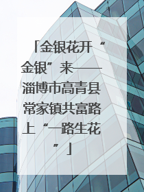 金银花开“金银”来——淄博市高青县常家镇共富路上“一路生花”