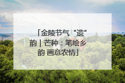 金陵节气“遗”韵｜芒种：笔绘乡韵 画意农情