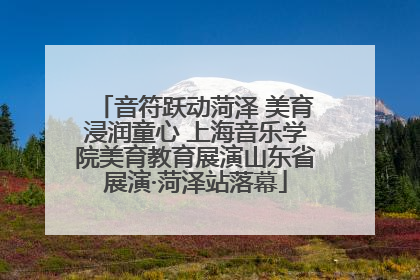 音符跃动菏泽 美育浸润童心 上海音乐学院美育教育展演山东省展演·菏泽站落幕