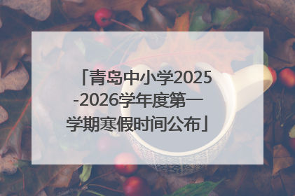 青岛中小学2025-2026学年度第一学期寒假时间公布