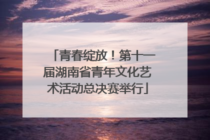 青春绽放！第十一届湖南省青年文化艺术活动总决赛举行