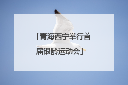 青海西宁举行首届银龄运动会
