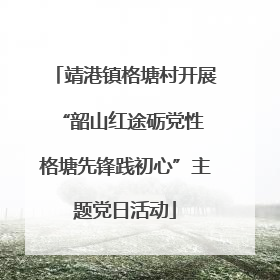 靖港镇格塘村开展“韶山红途砺党性 格塘先锋践初心”主题党日活动