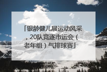 银龄健儿展运动风采，20队竞逐市运会（老年组）气排球赛