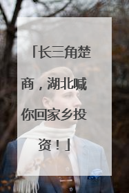 长三角楚商，湖北喊你回家乡投资！