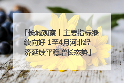 长城观察丨主要指标继续向好 1至4月河北经济延续平稳增长态势