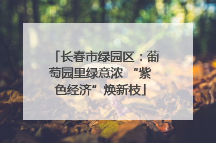 长春市绿园区：葡萄园里绿意浓 “紫色经济”焕新枝