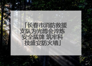 长春市消防救援支队为光博会淬炼安全盾牌 筑牢科技盛宴防火墙