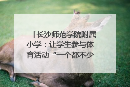 长沙师范学院附属小学：让学生参与体育活动“一个都不少”｜“文明创建耀三湘”专栏