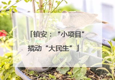 镇安：“小项目”撬动“大民生”