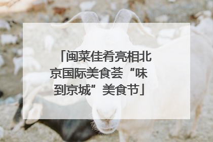 闽菜佳肴亮相北京国际美食荟“味到京城”美食节