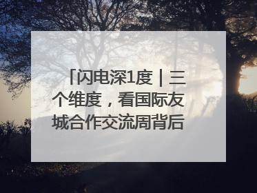 闪电深1度｜三个维度，看国际友城合作交流周背后的山东开放