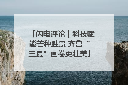 闪电评论｜科技赋能芒种胜景 齐鲁“三夏”画卷更壮美