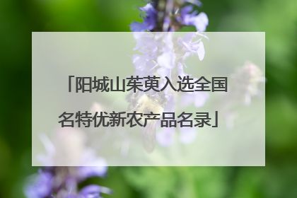阳城山茱萸入选全国名特优新农产品名录