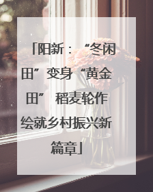 阳新：“冬闲田”变身“黄金田” 稻麦轮作绘就乡村振兴新篇章