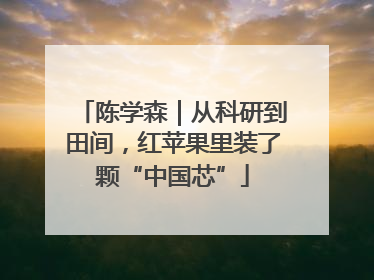 陈学森｜从科研到田间，红苹果里装了颗“中国芯”