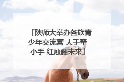 陕师大举办各族青少年交流营 大手牵小手 红烛耀未来