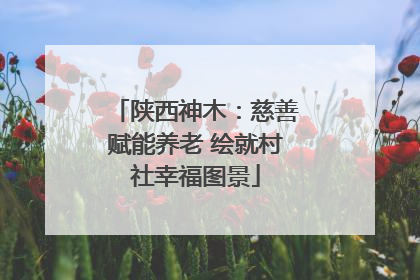 陕西神木：慈善赋能养老 绘就村社幸福图景