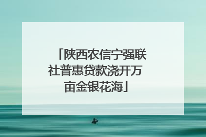 陕西农信宁强联社普惠贷款浇开万亩金银花海