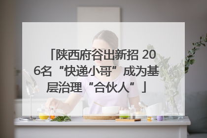 陕西府谷出新招 206名“快递小哥”成为基层治理“合伙人”