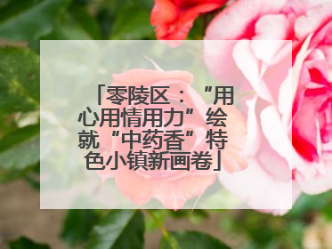 零陵区：“用心用情用力”绘就“中药香”特色小镇新画卷