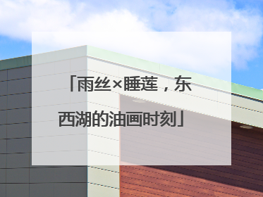 雨丝×睡莲，东西湖的油画时刻