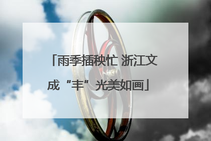 雨季插秧忙 浙江文成“丰”光美如画