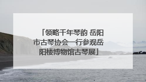 领略千年琴韵 岳阳市古琴协会一行参观岳阳楼博物馆古琴展