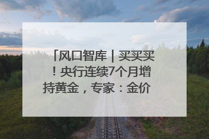 风口智库｜买买买！央行连续7个月增持黄金，专家：金价或仍易涨难跌