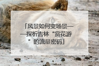 风景如何变场景——探析吉林“赏花游”的流量密码