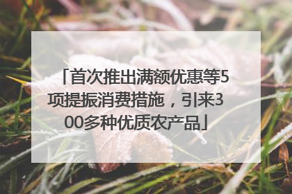 首次推出满额优惠等5项提振消费措施，引来300多种优质农产品