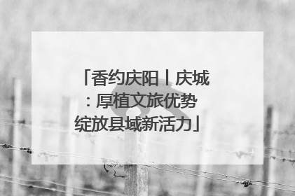 香约庆阳丨庆城：厚植文旅优势 绽放县域新活力