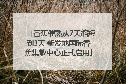 香蕉催熟从7天缩短到3天 新发地国际香蕉集散中心正式启用