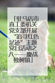 驻马店市直工委机关党支部开展“追寻红色足迹”主题党日活动之八——鏖战独树镇